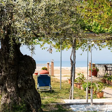 Aparthotel Opalium Front Potos