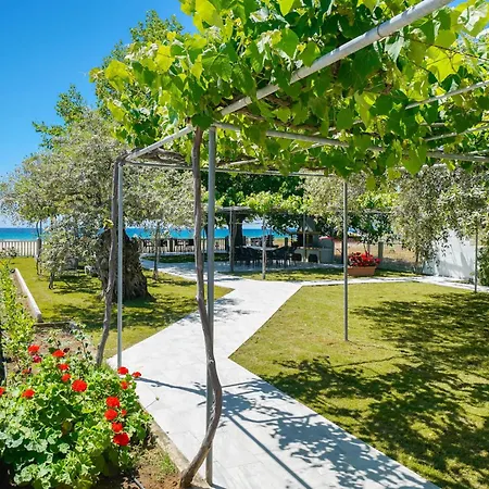 Opalium Front 포토스