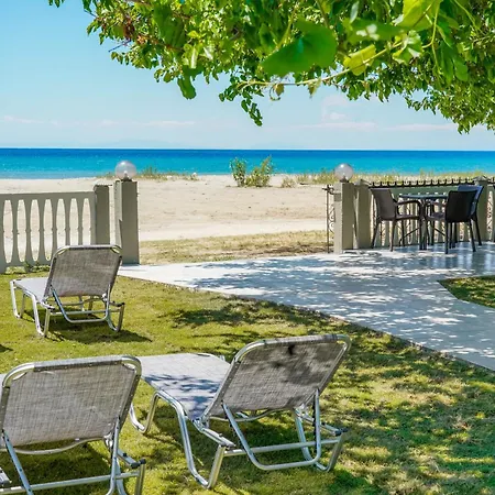 Opalium Front 포토스