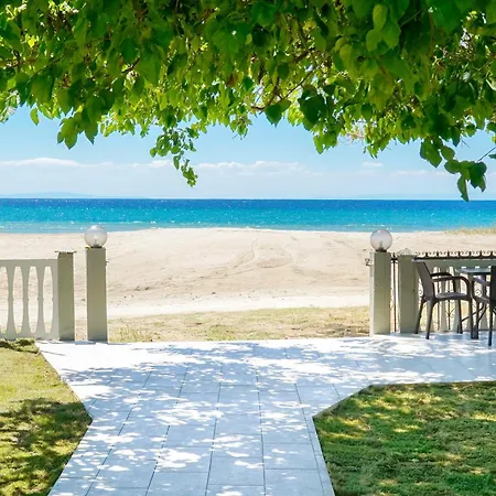 Opalium Front 3* 포토스